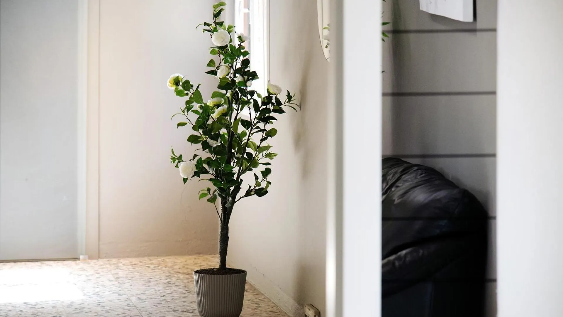 Dongo Garden Apartment